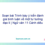 Soạn bài Trình bày ý kiến đánh giá, bình luận về một tư tưởng, đạo lí | Ngữ văn 11 Cánh diều