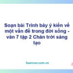 Soạn bài Trình bày ý kiến về một vấn đề trong đời sống | Chân trời sáng tạo Ngữ văn 7