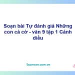 Soạn bài Những con cá cờ | Cánh diều Ngữ văn 9