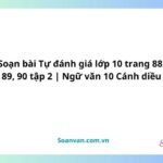 soạn bài tự đánh giá lớp 10 trang 88, 89, 90 tập 2 ngữ văn 10 cánh diều