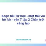 Soạn bài Tự học - một thú vui bổ ích | Chân trời sáng tạo Ngữ văn 7