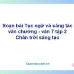 Soạn bài Tục ngữ và sáng tác văn chương | Chân trời sáng tạo Ngữ văn 7