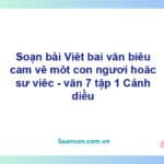 Soạn bài Viết bài văn biểu cảm về một con người hoặc sự việc | Cánh diều Ngữ văn 7