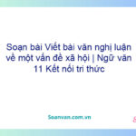 Soạn bài Viết bài văn nghị luận về một vấn đề xã hội | Ngữ văn 11 Kết nối tri thức