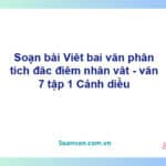 Soạn bài Viết bài văn phân tích đặc điểm nhân vật | Cánh diều Ngữ văn 7