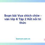 Soạn bài Vua chích chòe – Kết nối tri thức Văn 6