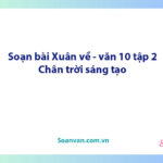 Soạn bài Xuân về | Ngữ văn 10 Chân trời sáng tạo