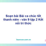 Soạn bài Bài ca chúc tết thanh niên | Kết nối tri thức Ngữ văn 9