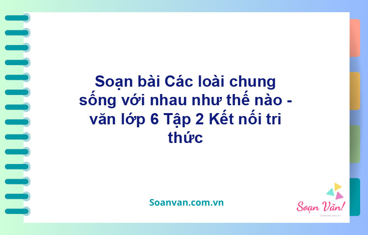 Soạn bài Các loài chung sống với nhau như thế nào – Kết nối tri thức Văn 6