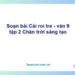 Soạn bài Cái roi tre | Chân trời sáng tạo Ngữ văn 9