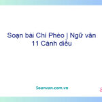 Soạn bài Chí Phèo | Ngữ văn 11 Cánh diều