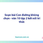 Soạn bài Con đường không chọn | Ngữ văn 10 Kết nối tri thức