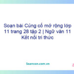 Soạn bài Củng cố, mở rộng lớp 11 trang 28 tập 2 | Ngữ văn 11 Kết nối tri thức