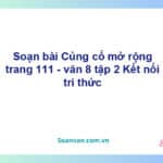 Soạn bài Củng cố, mở rộng lớp 8 trang 111 Tập 2 | Kết nối tri thức Ngữ văn 8