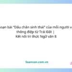 soạn bài dấu chân sinh thái của mỗi người và thông điệp từ trái Đất kết nối văn 8