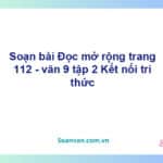 Soạn bài Đọc mở rộng lớp 9 trang 112 Tập 2 | Kết nối tri thức Ngữ văn 9