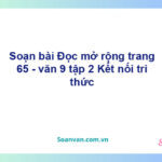 Soạn bài Đọc mở rộng lớp 9 trang 65 Tập 2 | Kết nối tri thức Ngữ văn 9