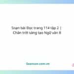 soạn bài Đọc trang 114 tập 2 chân trời sáng tạo ngữ văn 8