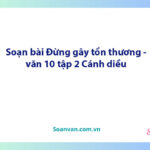 Soạn bài Đừng gây tổn thương | Ngữ văn 10 Cánh diều