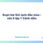 Soạn bài Gió lạnh đầu mùa | Cánh diều Ngữ văn 8