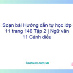 Soạn bài Hướng dẫn tự học lớp 11 trang 146 Tập 2 | Ngữ văn 11 Cánh diều