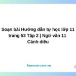 soạn bài hướng dẫn tự học lớp 11 trang 53 tập 2 ngữ văn 11 cánh diều