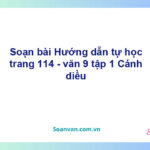 Soạn bài Hướng dẫn tự học lớp 9 trang 114 Tập 1 | Cánh diều Ngữ văn 9