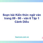 Soạn bài Kiến thức ngữ văn trang 89 - 90 – Cánh diều Văn 6