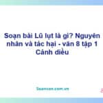 Soạn bài Lũ lụt là gì? Nguyên nhân và tác hại | Cánh diều Ngữ văn 8