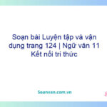 Soạn bài Luyện tập và vận dụng trang 124 | Ngữ văn 11 Kết nối tri thức