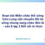 Soạn bài Miền châu thổ sông Cửu Long cần chuyển đổi từ sống chung sang chào đón lũ | Kết nối tri thức Ngữ văn 8