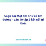 Soạn bài Một đời như kẻ tìm đường | Ngữ văn 10 Kết nối tri thức