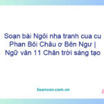 Soạn bài Ngôi nhà tranh của cụ Phan Bội Châu ở Bến Ngự | Ngữ văn 11 Chân trời sáng tạo