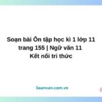 soạn bài Ôn tập học kì 1 lớp 11 trang 155 ngữ văn 11 kết nối tri thức