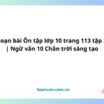 soạn bài Ôn tập lớp 10 trang 113 tập 2 ngữ văn 10 chân trời sáng tạo