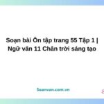 soạn bài Ôn tập trang 55 tập 1 ngữ văn 11 chân trời sáng tạo