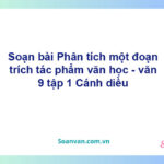 Soạn bài Phân tích một đoạn trích tác phẩm văn học | Cánh diều Ngữ văn 9