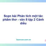 Soạn bài Phân tích một tác phẩm thơ | Cánh diều Ngữ văn 8