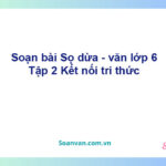 Soạn bài Sọ dừa – Kết nối tri thức Văn 6