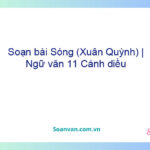 Soạn bài Sóng (Xuân Quỳnh) | Ngữ văn 11 Cánh diều