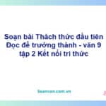 Soạn bài Đọc để trưởng thành | Kết nối tri thức Ngữ văn 9