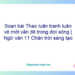 Soạn bài Thảo luận, tranh luận về một vấn đề trong đời sống | Ngữ văn 11 Chân trời sáng tạo