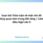 soạn bài thảo luận về một vấn đề đáng quan tâm trong đời sống cd