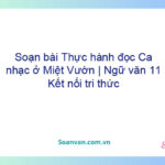 Soạn bài Thực hành đọc: Ca nhạc ở Miệt Vườn | Ngữ văn 11 Kết nối tri thức