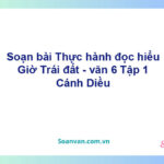 Soạn bài Thực hành đọc hiểu Giờ Trái đất – Cánh diều Văn 6