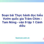 Soạn bài Vườn quốc gia Tràm Chim - Tam Nông | Cánh diều Ngữ văn 9