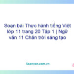 Soạn bài Thực hành tiếng Việt lớp 11 trang 20 Tập 1 | Ngữ văn 11 Chân trời sáng tạo