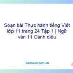 Soạn bài Thực hành tiếng Việt lớp 11 trang 24 Tập 1 | Ngữ văn 11 Cánh diều