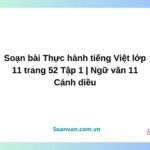 soạn bài thực hành tiếng việt lớp 11 trang 52 tập 1 ngữ văn 11 cánh diều