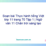 Soạn bài Thực hành tiếng Việt lớp 11 trang 70 Tập 1 | Ngữ văn 11 Chân trời sáng tạo